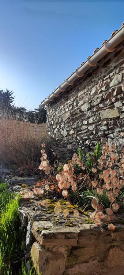 Maison De Village 4 A 6 Pers A 5 Min De La Mer Brétignolles-sur-Mer 외부 사진